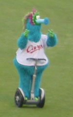 carp0507b.jpg (6877 �o�C�g)