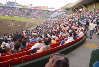 carp0524e.jpg (29220 �o�C�g)