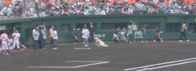 carp0604g.jpg (15903 �o�C�g)