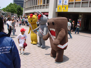 carp0611a.jpg (28084 �o�C�g)