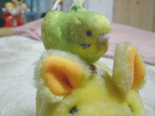 peko03.jpg (13517 �o�C�g)