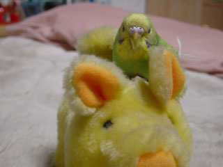 peko08.jpg (12761 �o�C�g)