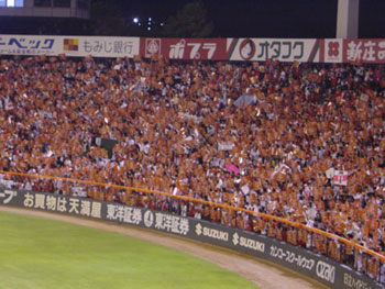 right01.jpg (36108 �o�C�g)