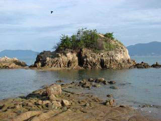 0716_g.jpg (20296 �o�C�g)