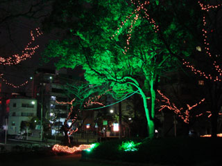 drimi02.jpg (26997 �o�C�g)