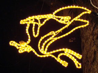 drimi04.jpg (26170 �o�C�g)