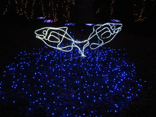 drimi25.jpg (24580 �o�C�g)