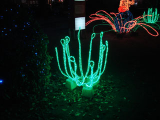 drimi29.jpg (21041 �o�C�g)