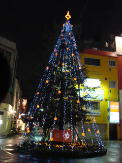 drimi39.jpg (26626 �o�C�g)