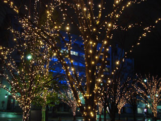 drimi48.jpg (34011 �o�C�g)