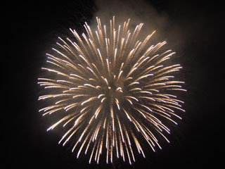hanabi2006_d.jpg (20261 �o�C�g)