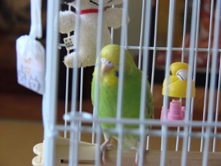 pico10.jpg (20653 �o�C�g)