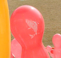 carp0304_16.jpg (8295 �o�C�g)