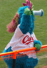 carp0503_13.jpg (14488 �o�C�g)