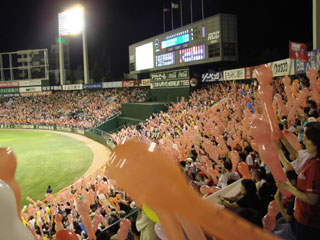 0812_20.jpg (28000 �o�C�g)