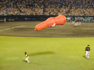 0816_37.jpg (20196 �o�C�g)