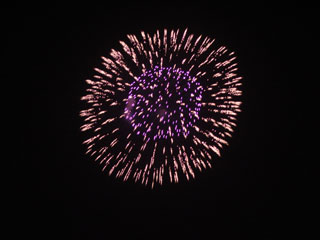 hanabi2007_27.jpg (15598 �o�C�g)