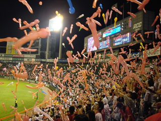 0924_37.jpg (38195 �o�C�g)