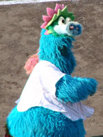 1123_50.jpg (11776 �o�C�g)