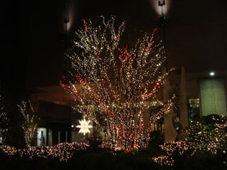 dre2007_18.jpg (24613 �o�C�g)