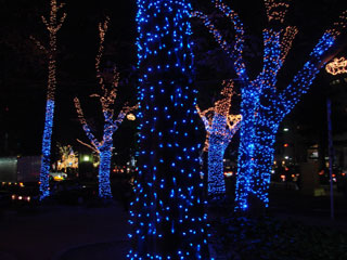 dre2007_20.jpg (30680 �o�C�g)