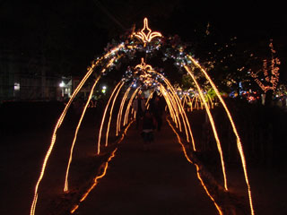 dre2007_35.jpg (21765 �o�C�g)