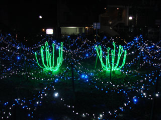 dre2007_39.jpg (27694 �o�C�g)