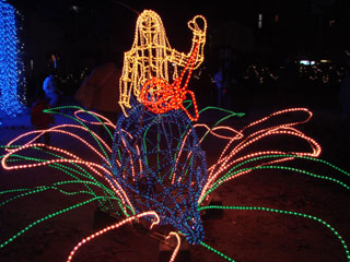 dre2007_41.jpg (31338 �o�C�g)