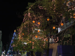 dre2007_49.jpg (25705 �o�C�g)