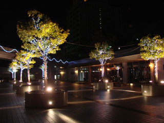 dre2007_55.jpg (22038 �o�C�g)