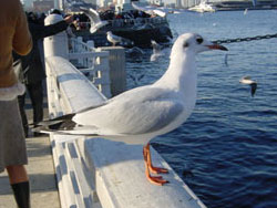 y_off03.jpg (16836 �o�C�g)